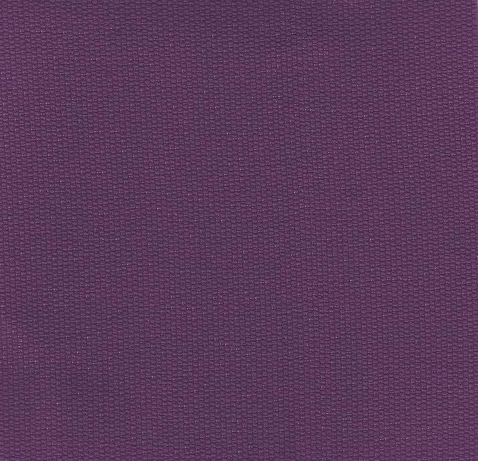NX-31   Purple Aura